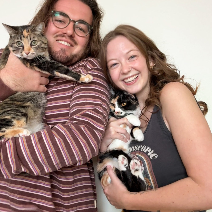 Your Cat's New Secondary Safe Space