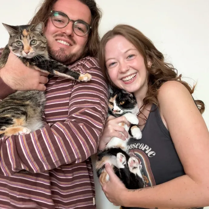 Your Cat's New Secondary Safe Space