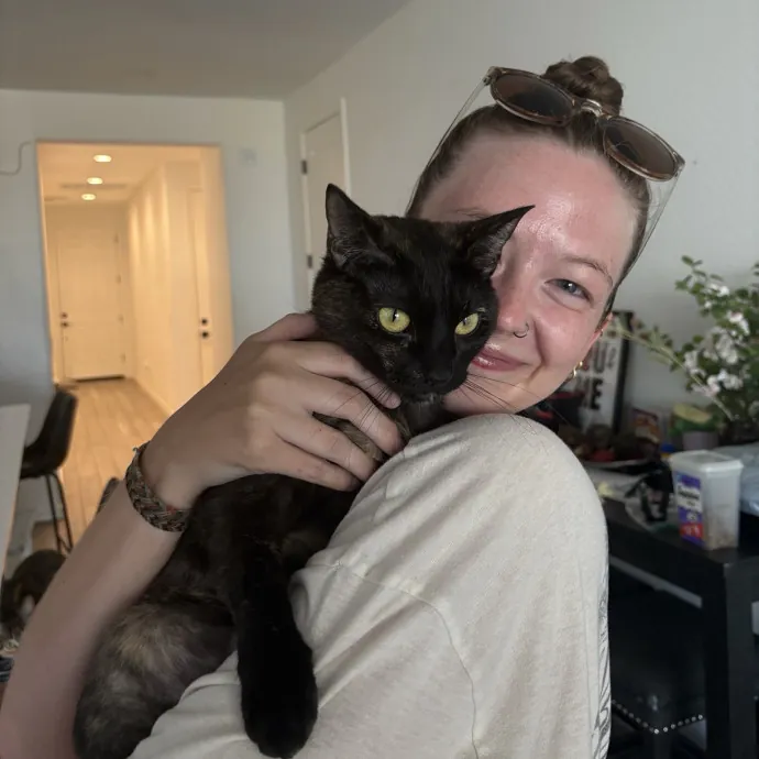 Your Cat's New Secondary Safe Space photo 4