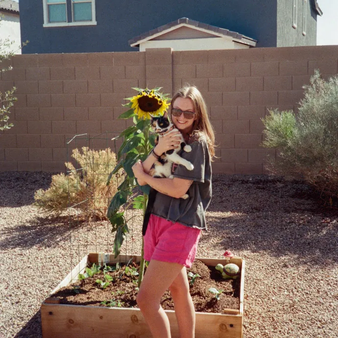 Your Cat's New Secondary Safe Space photo 2