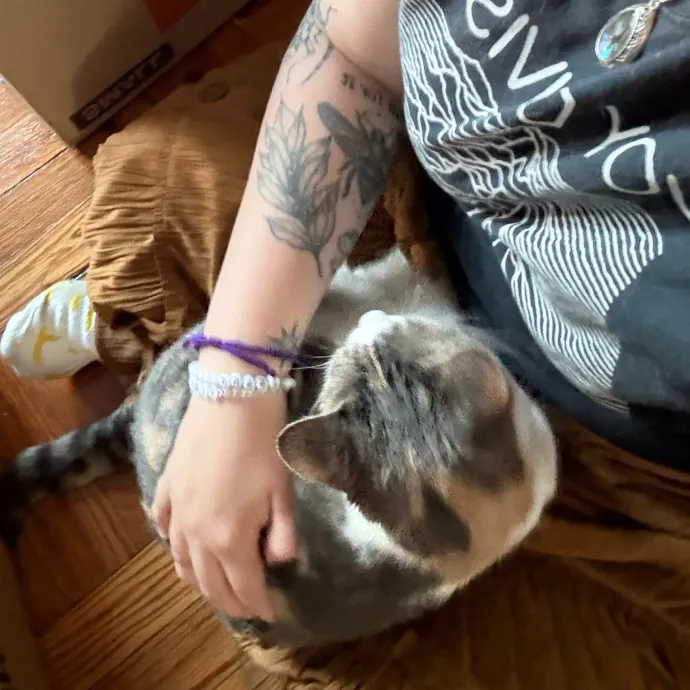 Silver's Kitty Hang Outs