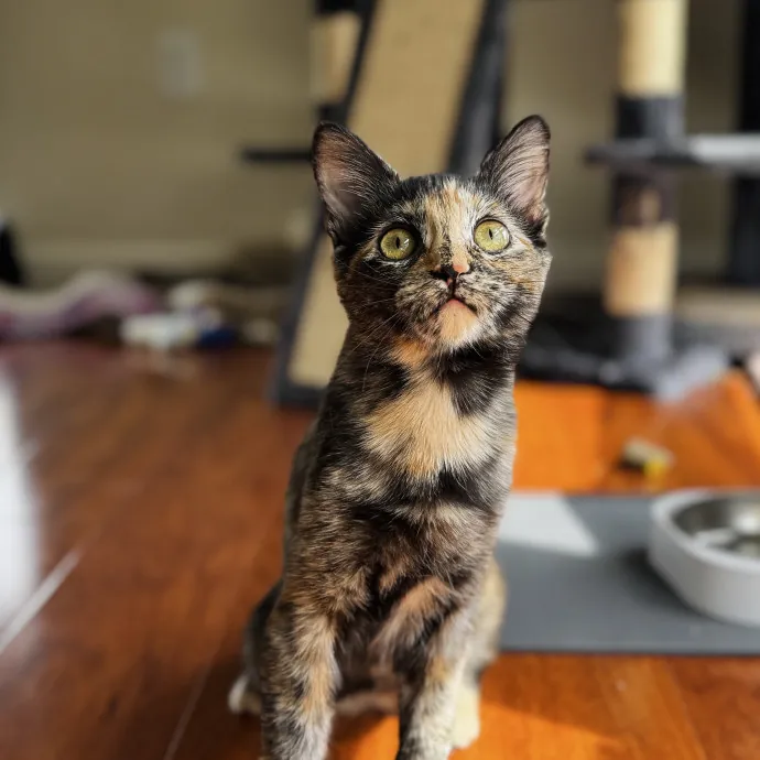 Sabrina G.