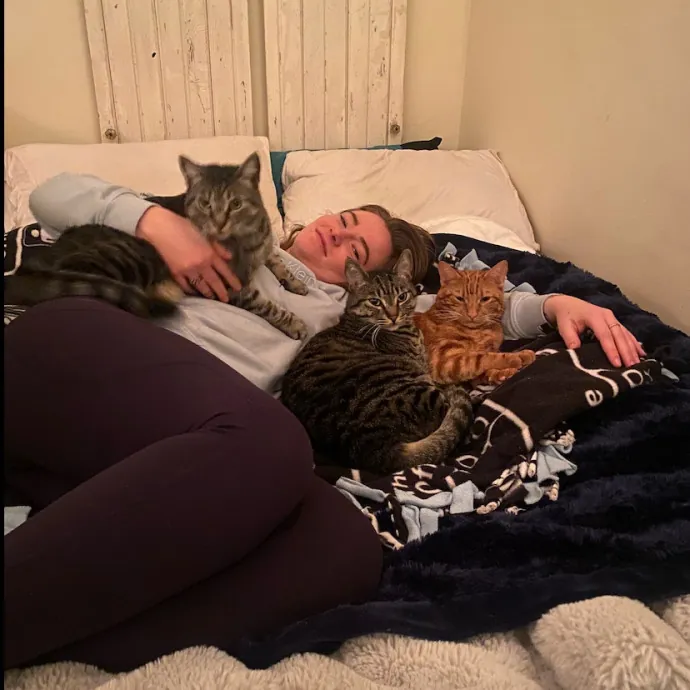 Experienced Cat Sitter photo 3