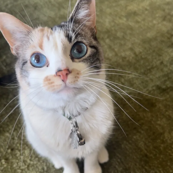 Molly P.