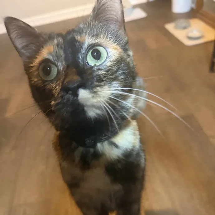 Molly P.