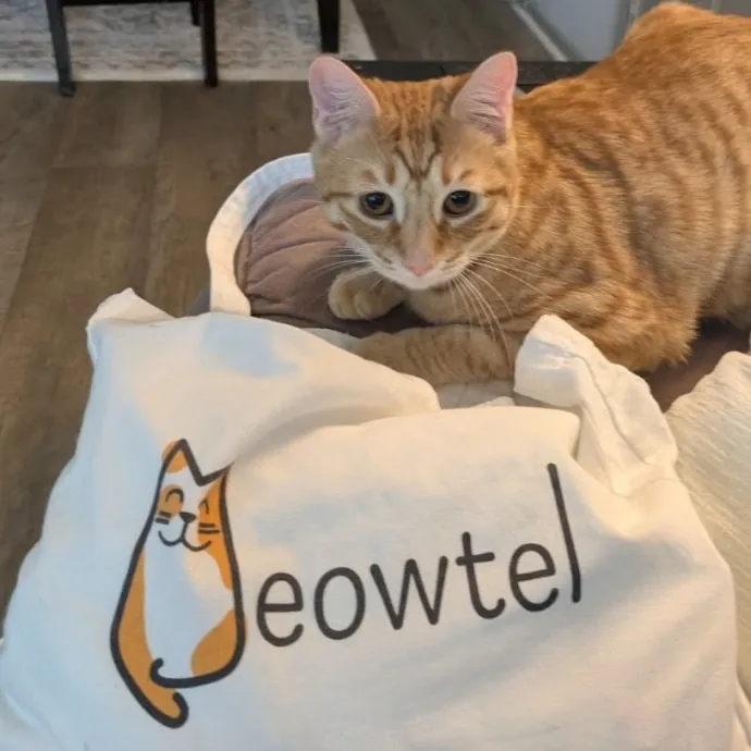 Debbie's Purrfect Cat Sitting Service
