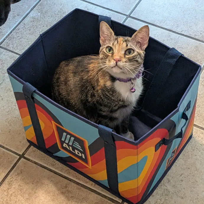 Debbie's Purrfect Cat Sitting Service