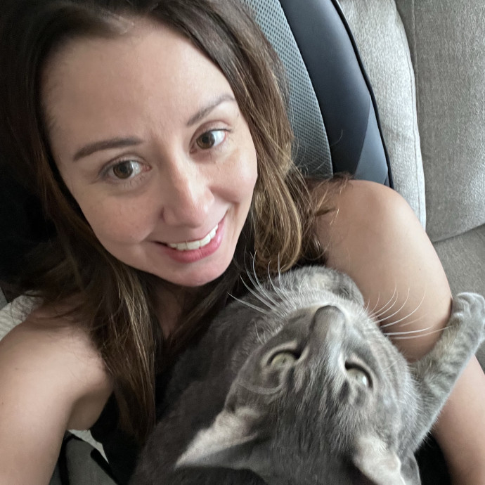 N Phoenix Kitty Conceirge