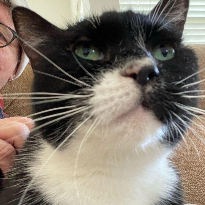 Jane And Dave  Reliable Cat Care Team