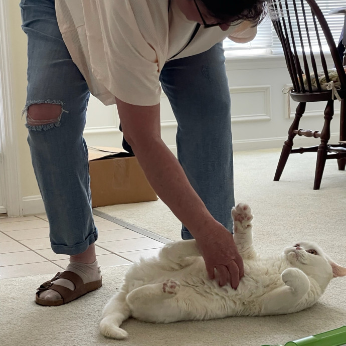 Jane And Dave  Reliable Cat Care Team