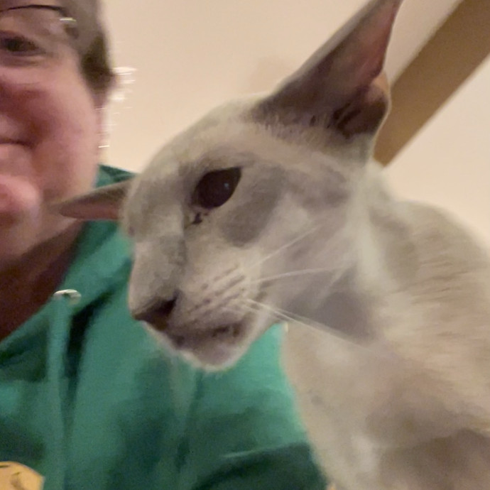 Jane And Dave  Reliable Cat Care Team