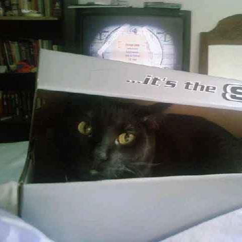 I Fits I Sits