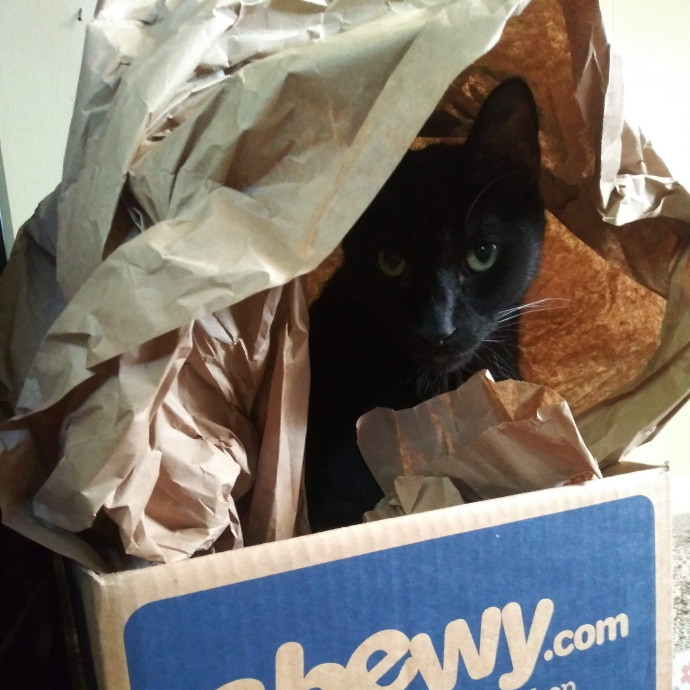 I Fits I Sits
