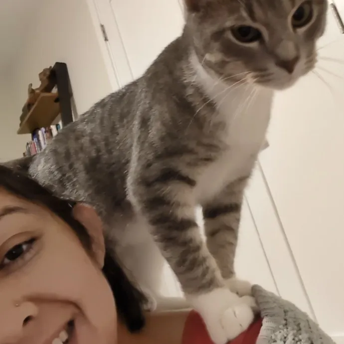 Chris Custom Cat Care