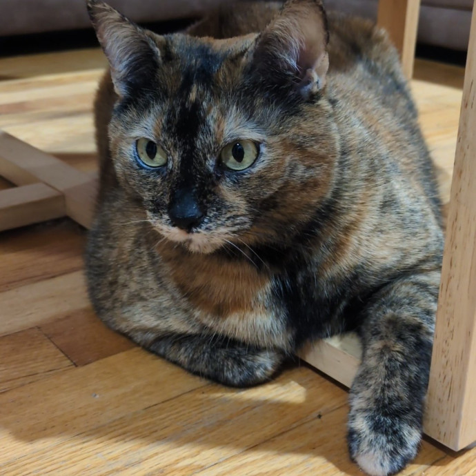 I Fits I Sits