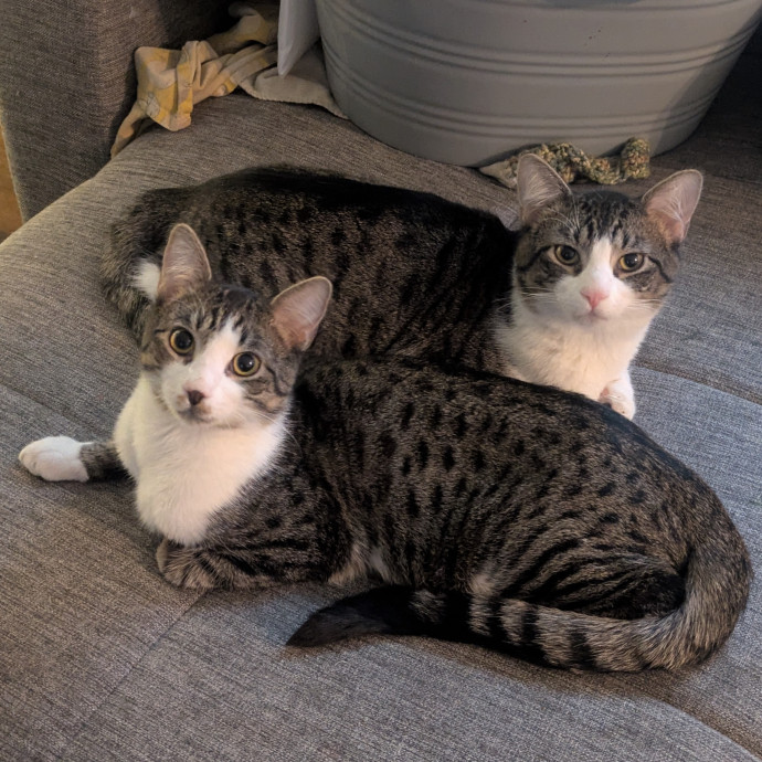I Fits I Sits