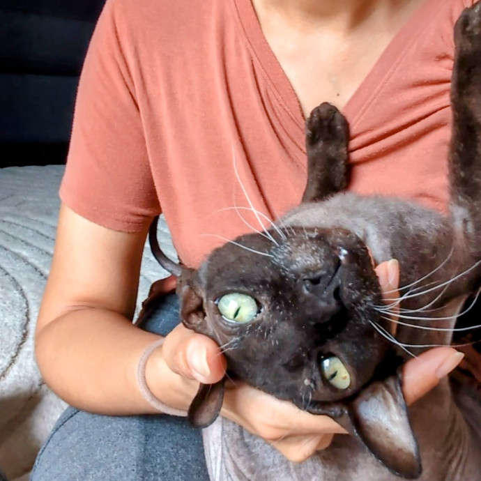I Fits I Sits
