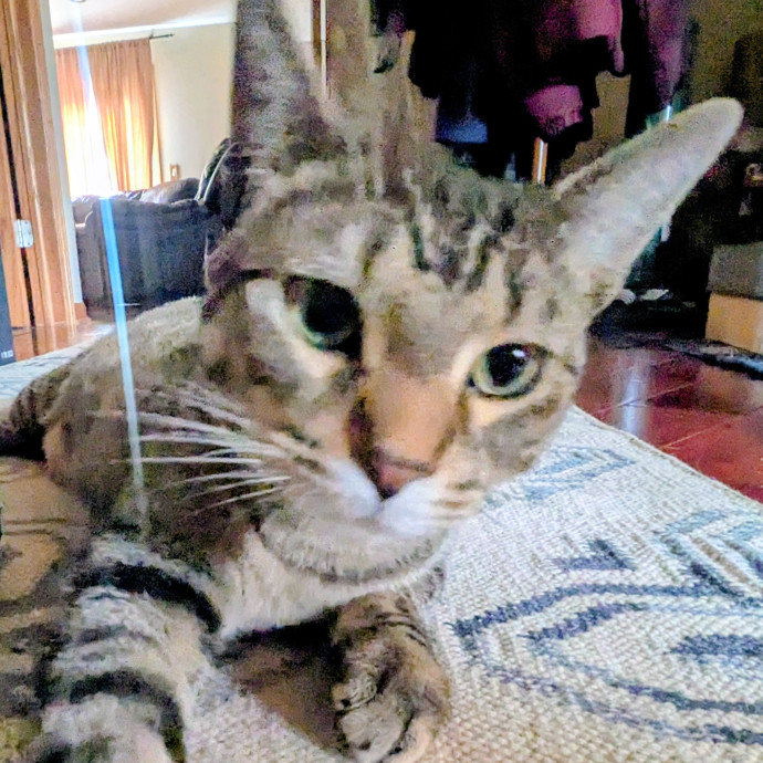 I Fits I Sits