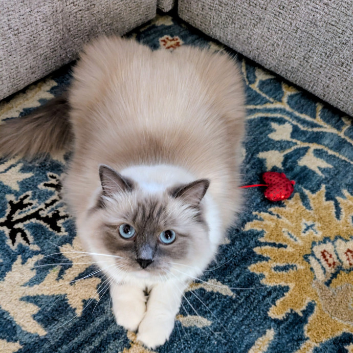 I Fits I Sits photo 2