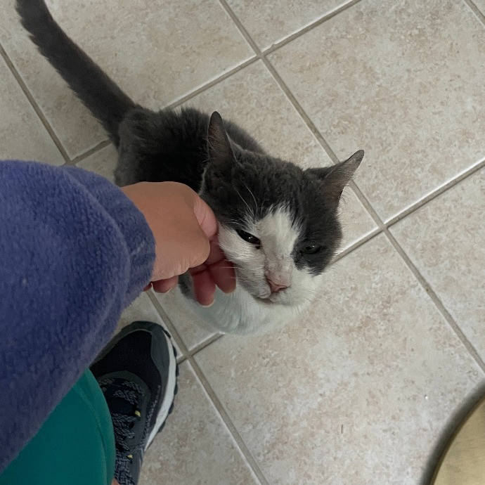 I'm Pawsitively Approved  And Reviewed