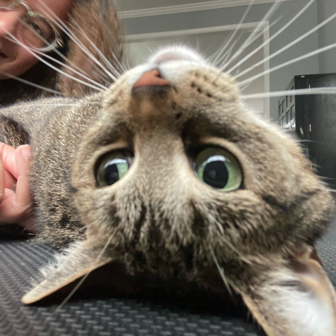 I'm Pawsitively Approved  And Reviewed