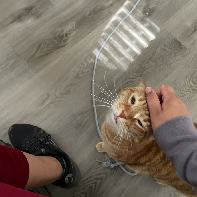 I'm Pawsitively Approved  And Reviewed