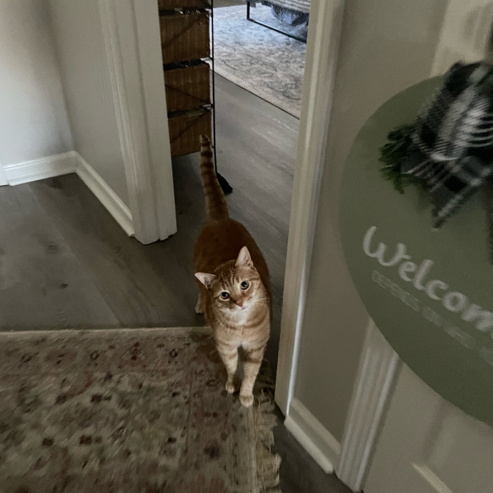 I'm Pawsitively Approved  And Reviewed