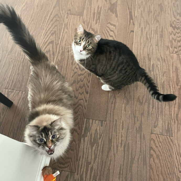 I'm Pawsitively Approved  And Reviewed