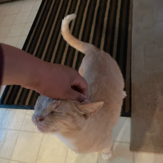 I'm Pawsitively Approved  And Reviewed