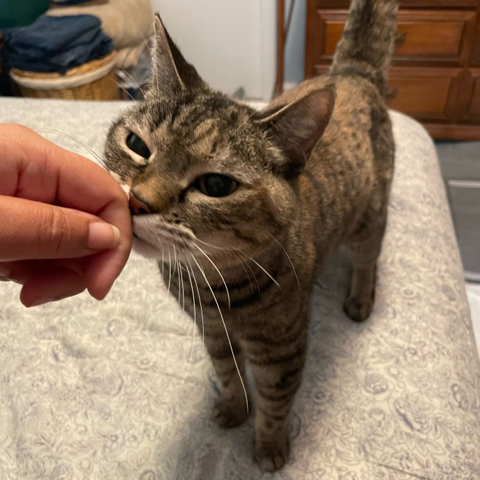 I'm Pawsitively Approved  And Reviewed