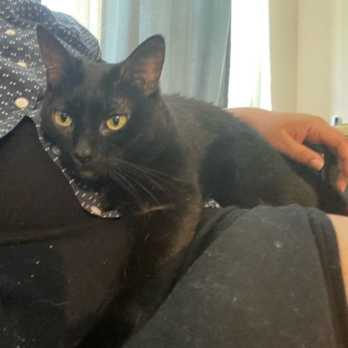 I'm Pawsitively Approved  And Reviewed