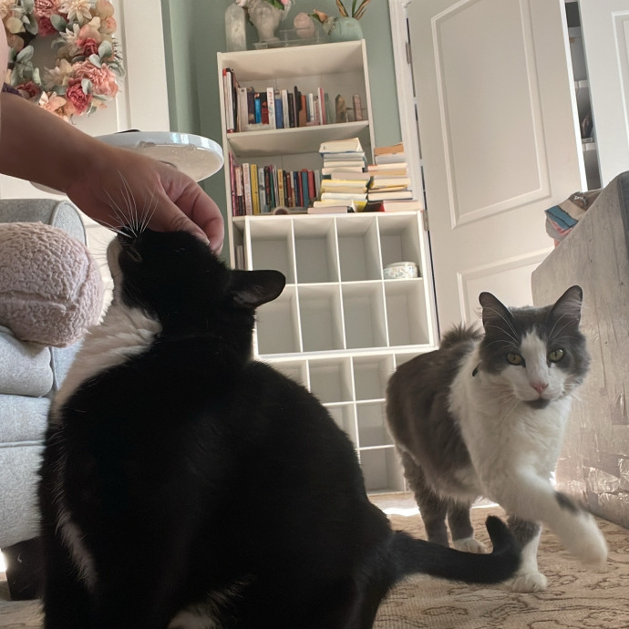 I'm Pawsitively Approved  And Reviewed