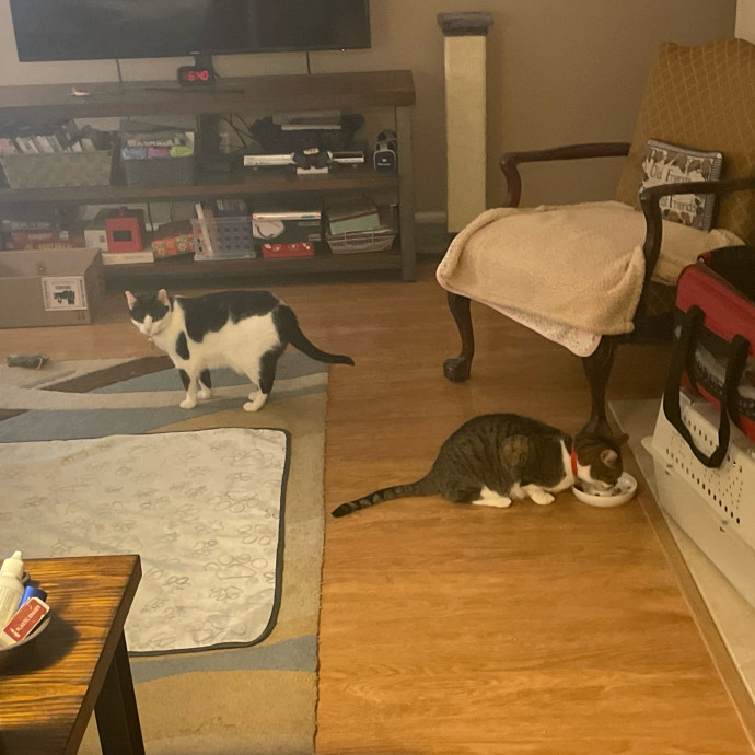 I'm Pawsitively Approved  And Reviewed