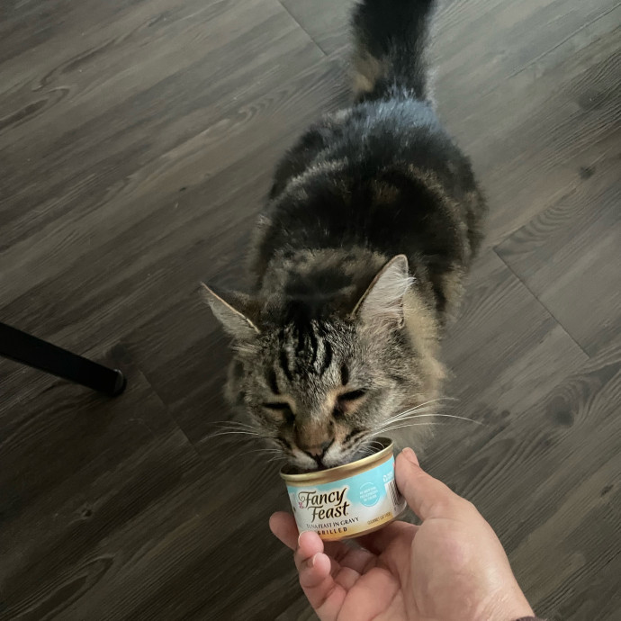 I'm Pawsitively Approved  And Reviewed