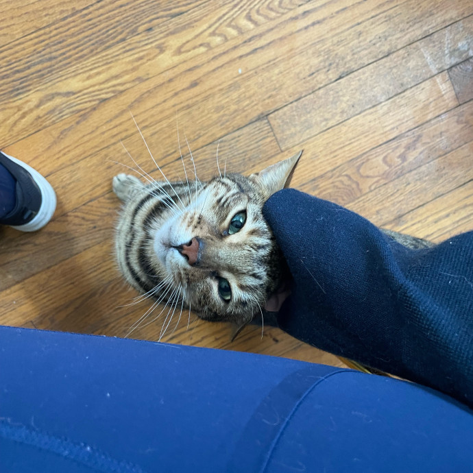 I'm Pawsitively Approved  And Reviewed