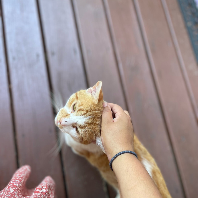 I'm Pawsitively Approved  And Reviewed