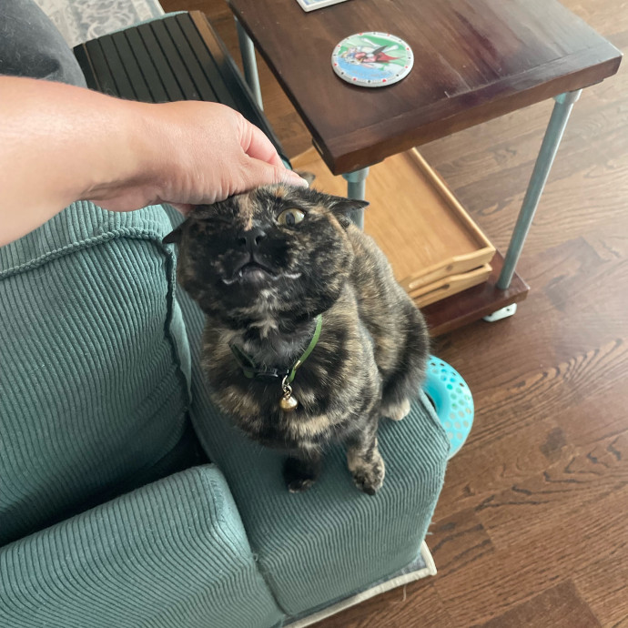I'm Pawsitively Approved  And Reviewed