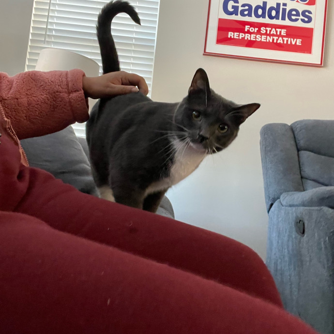 I'm Pawsitively Approved  And Reviewed