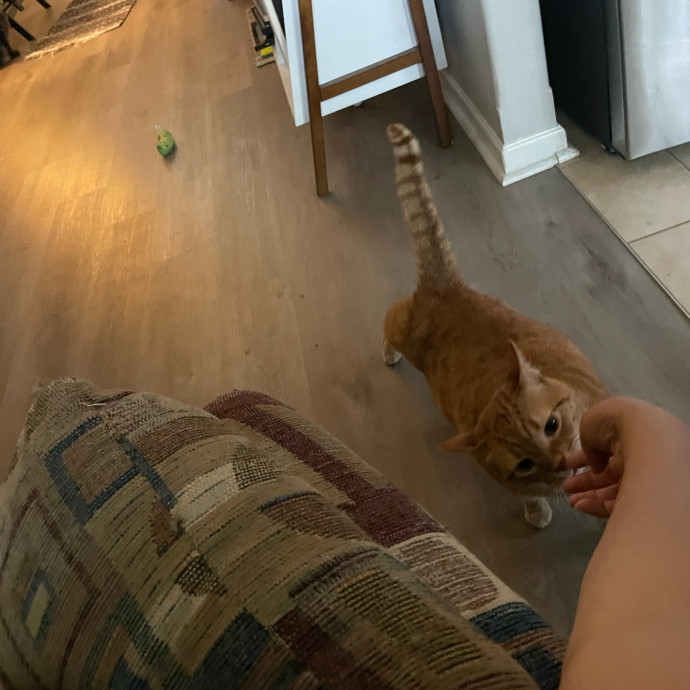 I'm Pawsitively Approved  And Reviewed