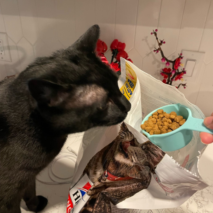I'm Pawsitively Approved  And Reviewed
