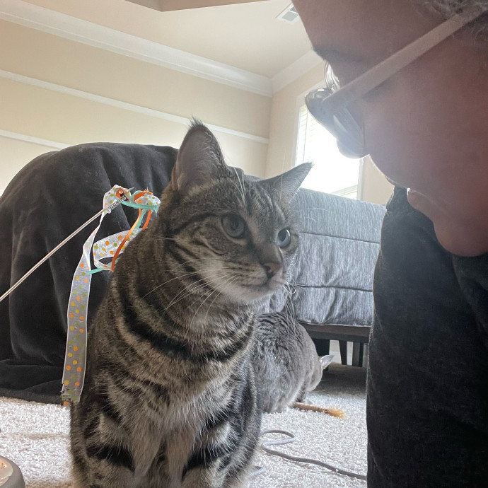 I'm Pawsitively Approved  And Reviewed
