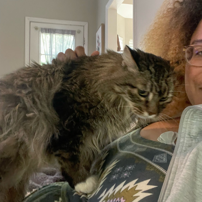 I'm Pawsitively Approved  And Reviewed