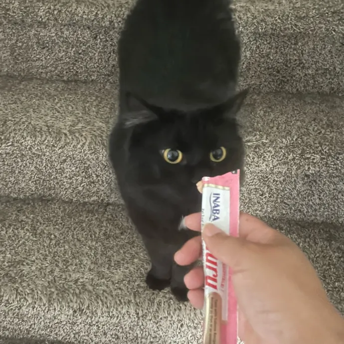 I'm Pawsitively Approved  And Reviewed