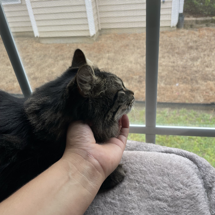 I'm Pawsitively Approved  And Reviewed