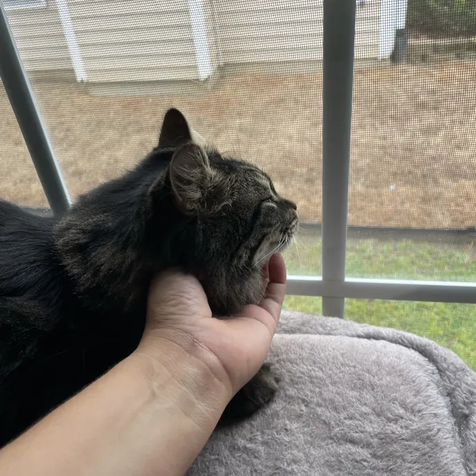 I'm Pawsitively Approved  And Reviewed