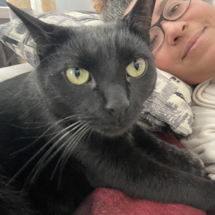 I'm Pawsitively Approved  And Reviewed