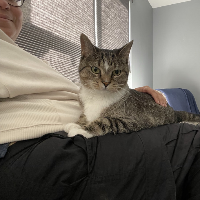 I'm Pawsitively Approved  And Reviewed