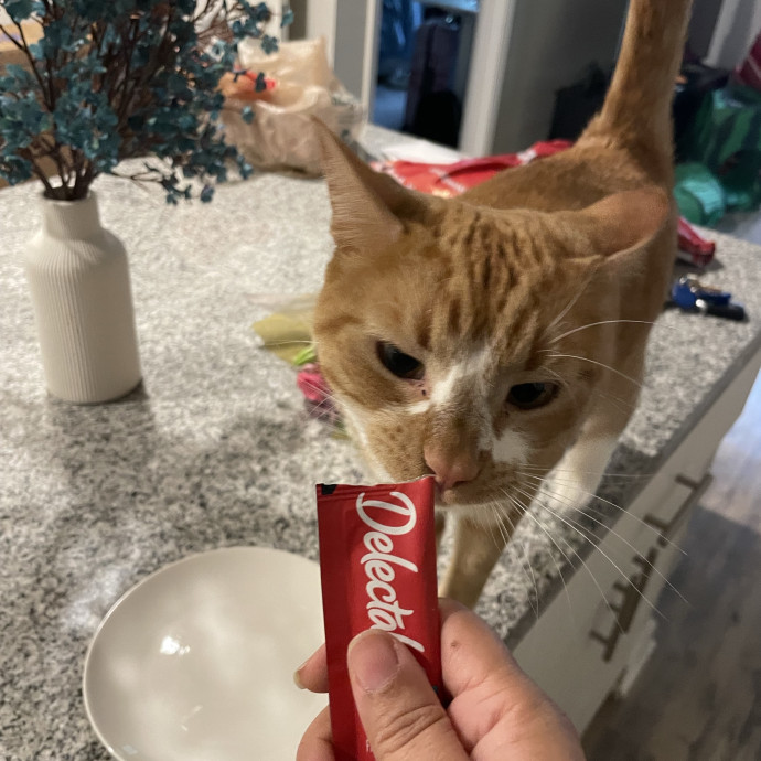 I'm Pawsitively Approved  And Reviewed