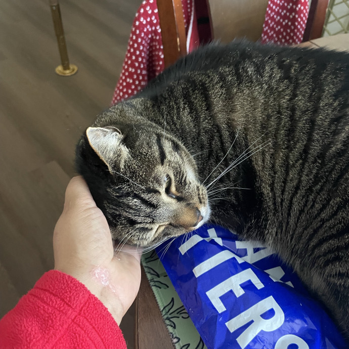 I'm Pawsitively Approved  And Reviewed