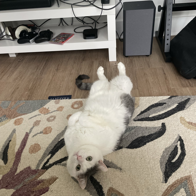I'm Pawsitively Approved  And Reviewed